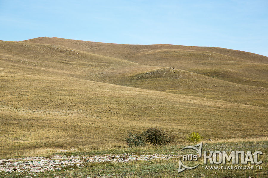 ������� ������� 