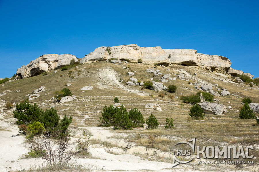 ������ �������� �������