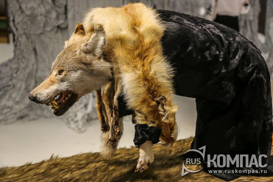 Серый волк из русских сказок