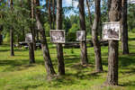 На деревьях фотография из партизанского быта