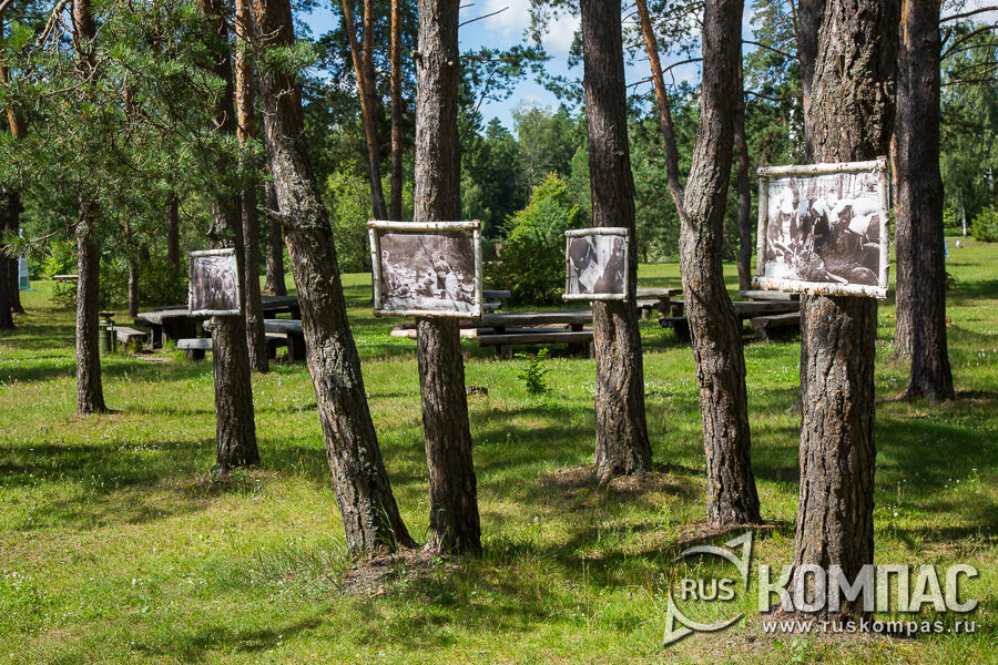 На деревьях фотография из партизанского быта