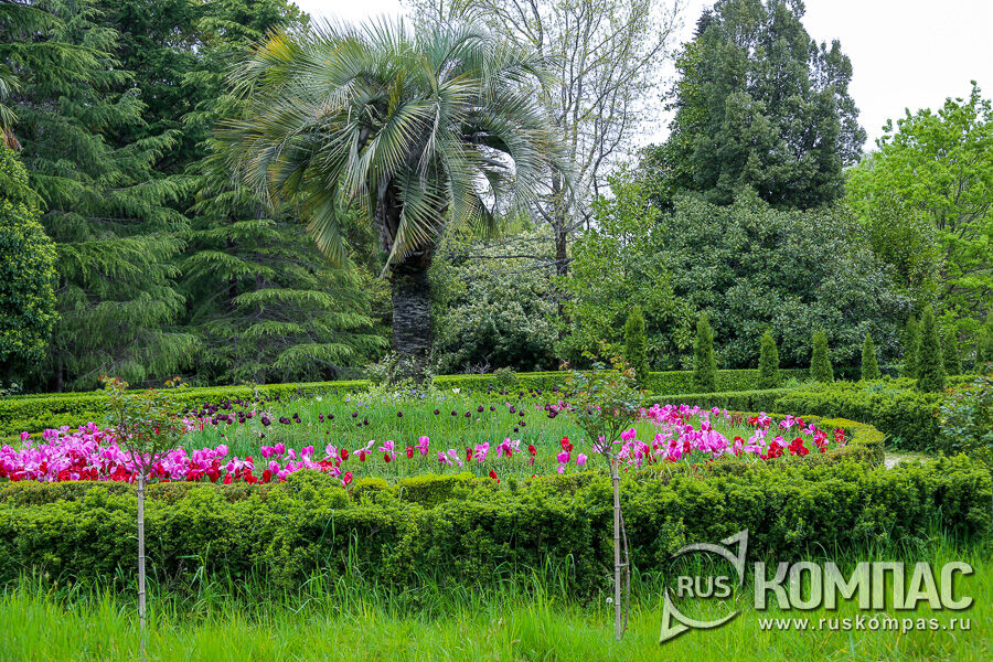 ��������, ������ � ������