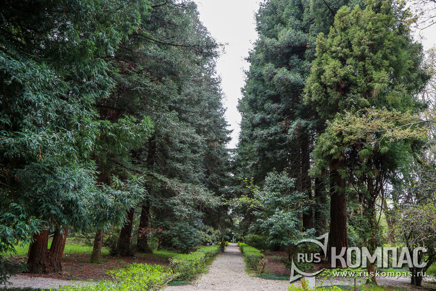 ����� � ���������