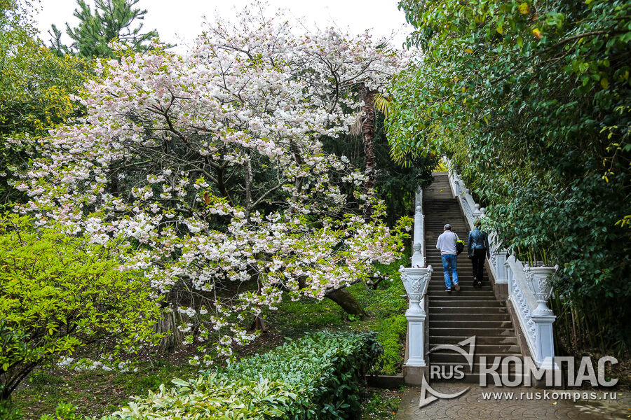 ����� �������� ������� �������� ������