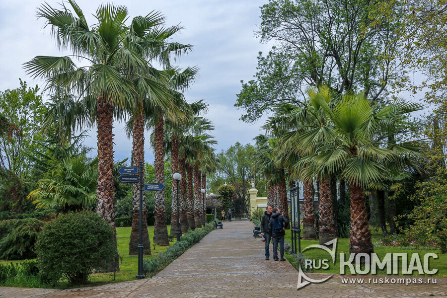 ����� � ��������