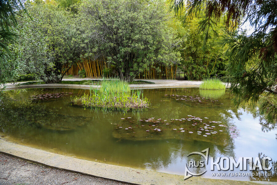 ���� � ����������