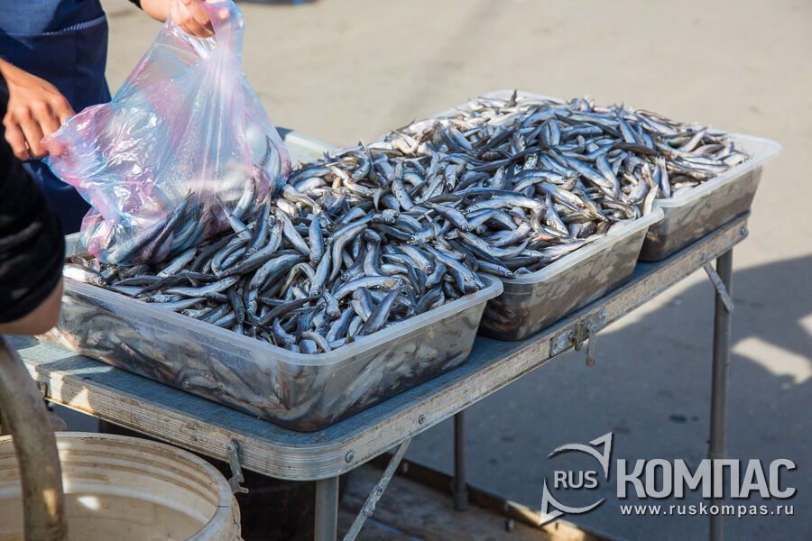 �� ����� ������� ������ ����