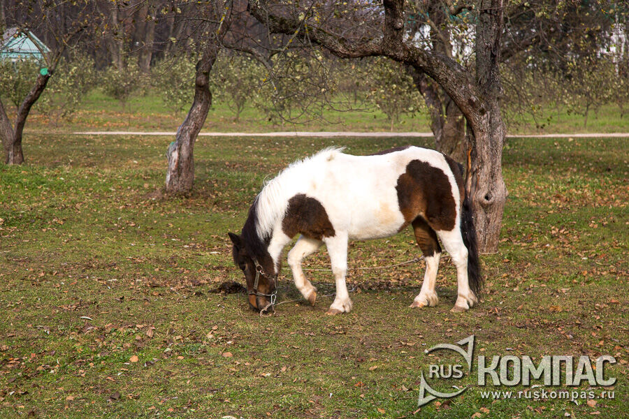 ����-���������� ���� � ��������� ����