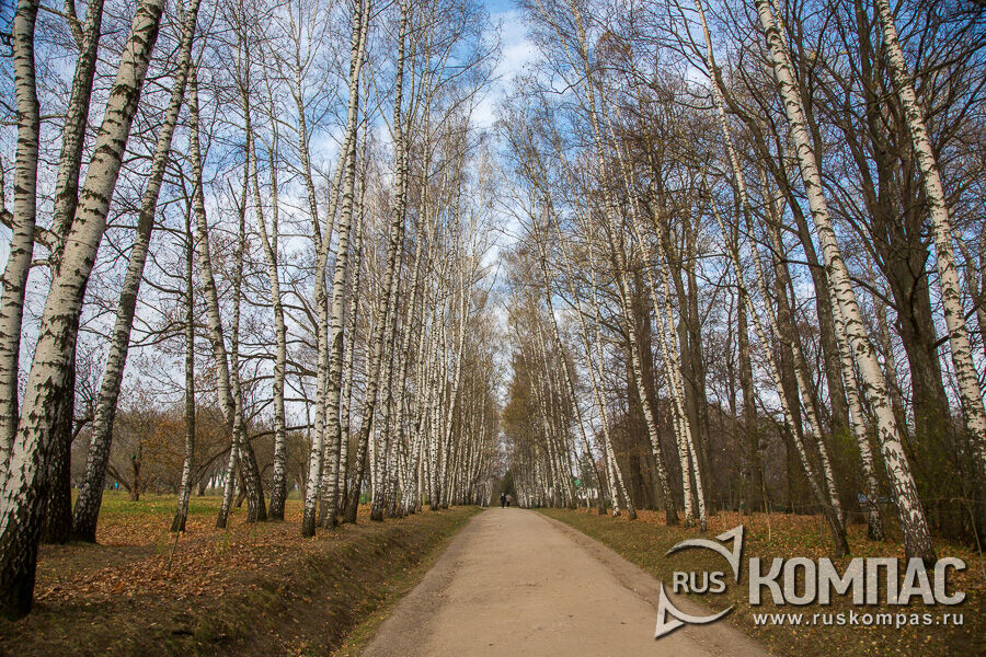 � ���� ���� �������� �� �������� ����� ����� ��������� ����� - ���������