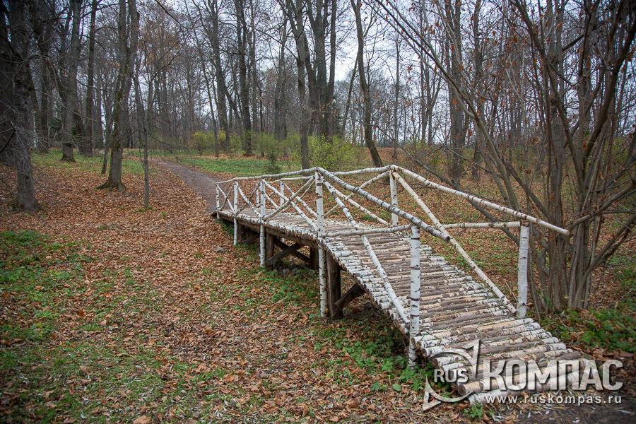 ���� �� �������� ������� ����� �������