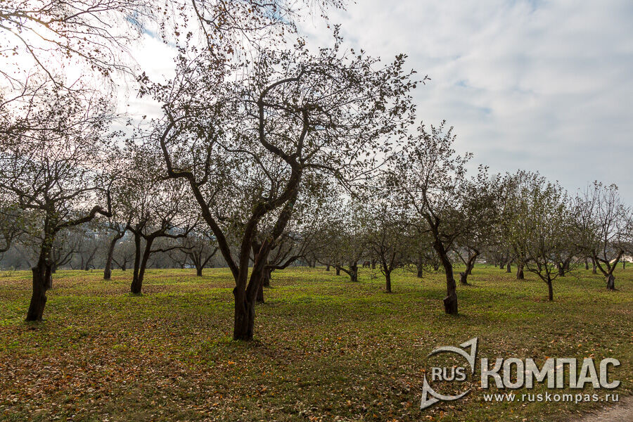 ����� 40 �������� ������� ������� ����� ������ �������� ��������� ����