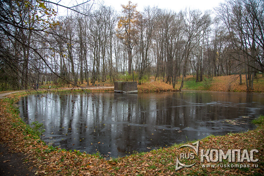 ������� ���� ��� ��������� ������ �����