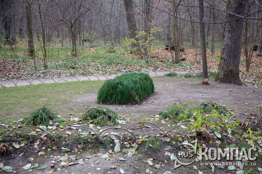 ������ �. �. ��������