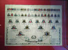 На стене первого этажа дома-музея висит генеалогическая таблица Льва Николаевича Толстого