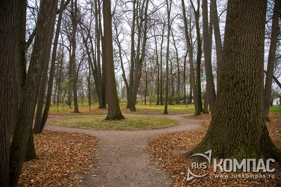 ���� �� ����������� ����� �������