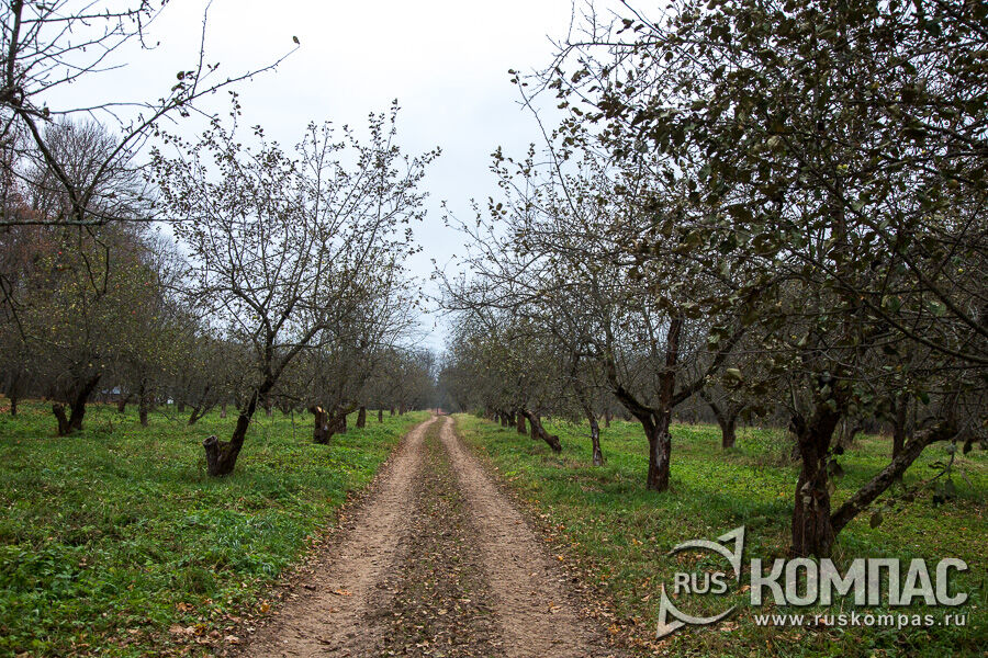 ������� ���