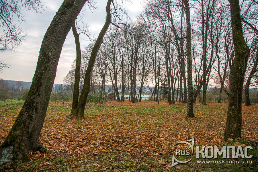 ���� � ������� ��������