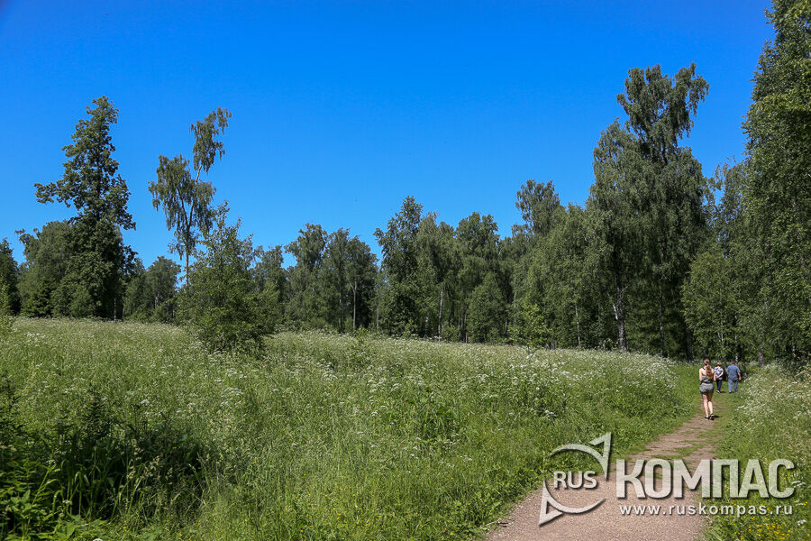 �������� ������������ ����