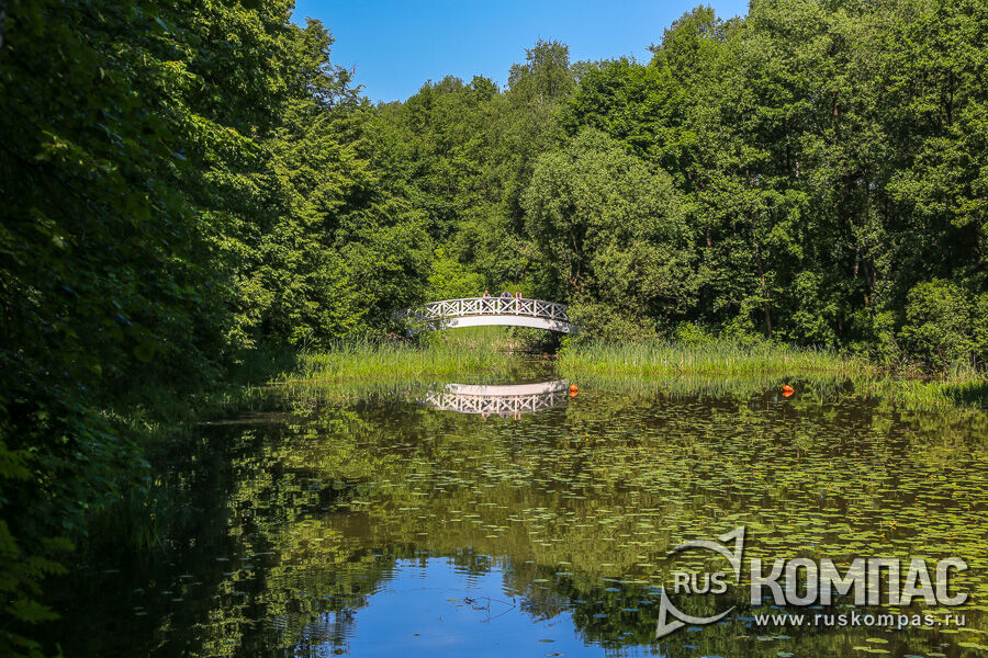 ���� ������ � �������� ������