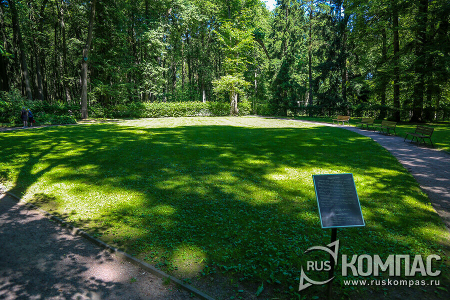 ������� ���� � ������� ���������