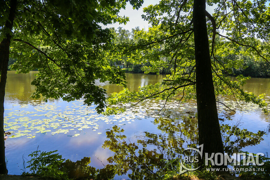 ������� ���� ������� ��������