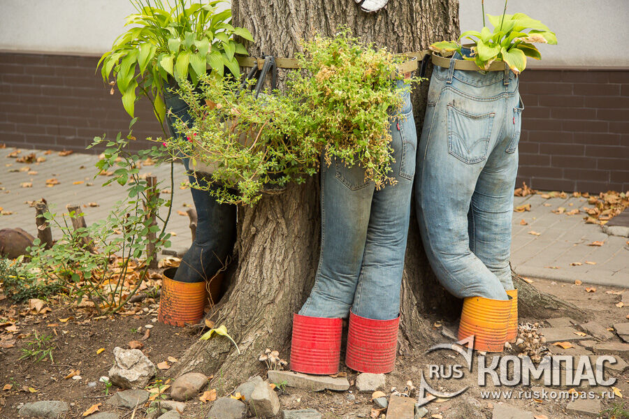 ������� ������� ������� �������