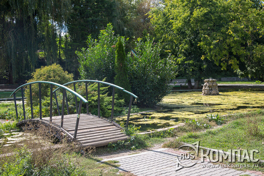 ������ ����� ���� ������