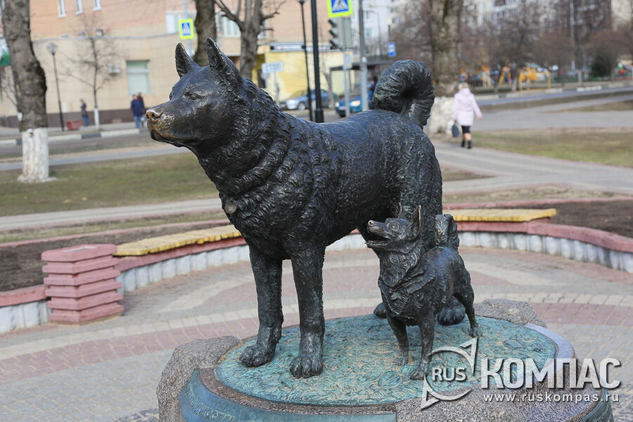 ��������  ������� � ������� 