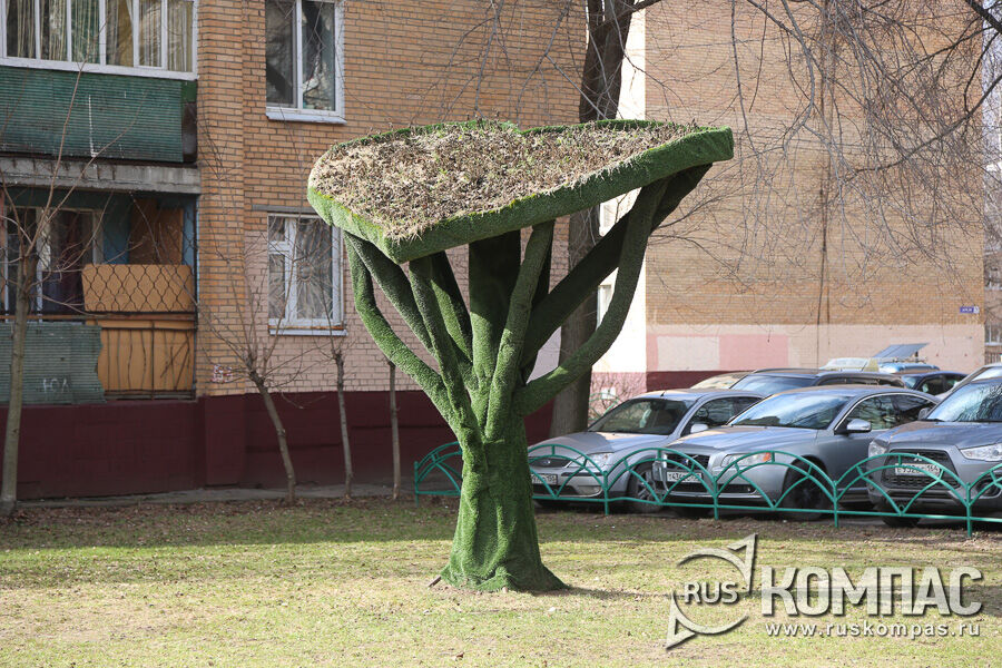 ������ ������ � �������