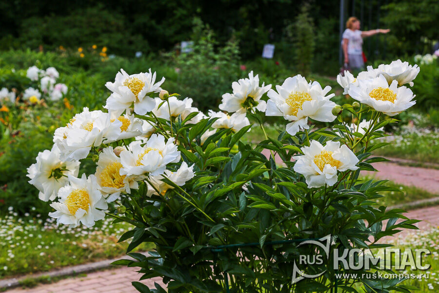 �� ������ ������������, ���� � ����� ����� �������, �� , ������ �����, ������ ������ ��������