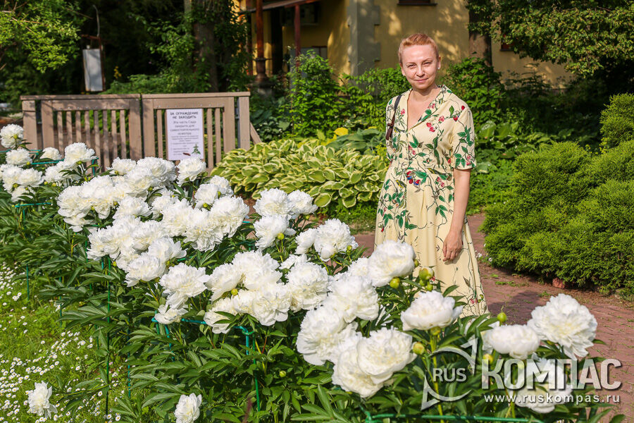 ������ �������� ������ ���������� �� �������� ��� - ������ ���� 