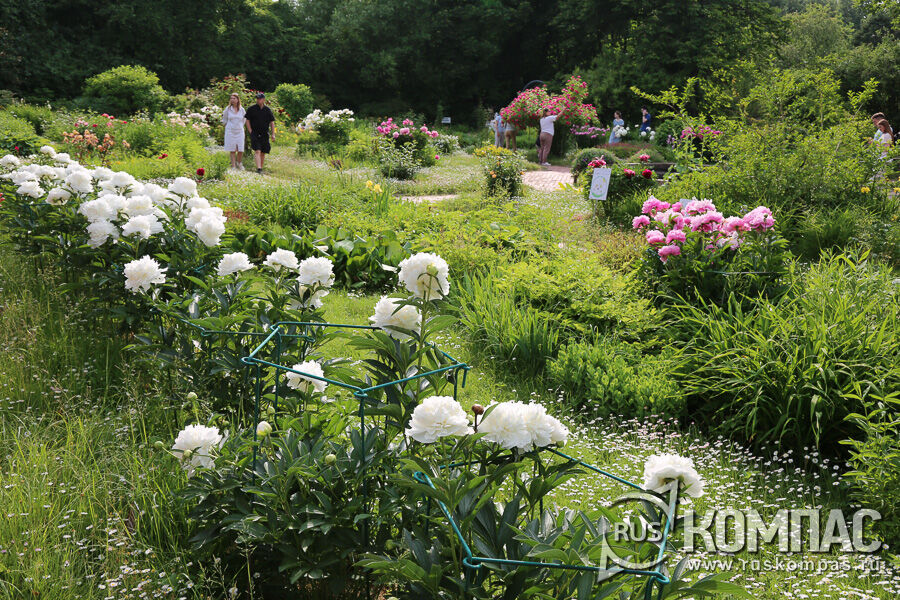 �������� ����� � ���� �� ������� ������ ������� ������������� ����������