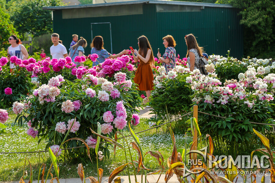 ��������� ������ ������� ��� ����������� ����� 200 ������