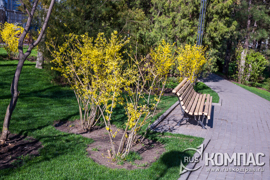 �������� ���� �� ��������� �����