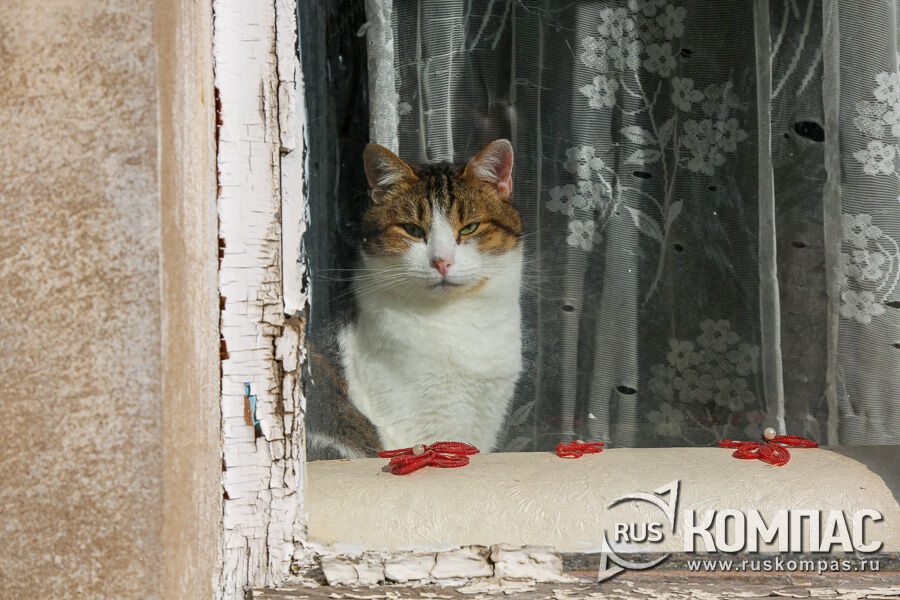 ����� �� ������ (����� ������)