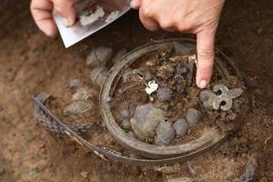 В Рязанской области найдены древние серебряные украшения