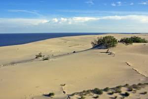 �� �������� ���� �������� ����� ������� �������